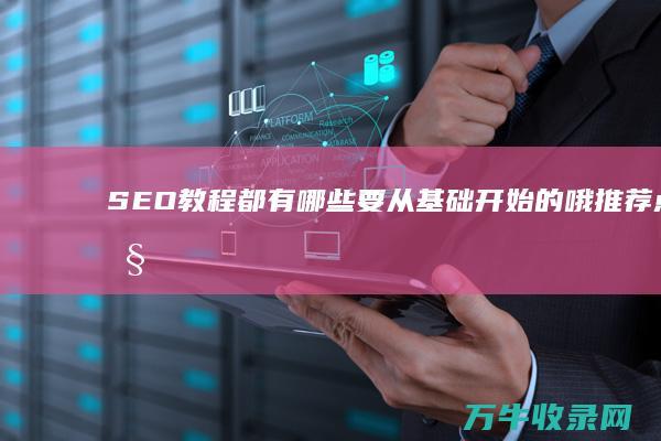 SEO教程都有哪些 要从基础开始的哦 推荐点吧 (seo入门教学)